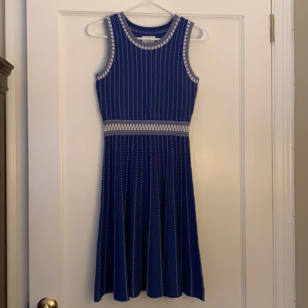 Blue Milly Dress